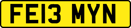 FE13MYN