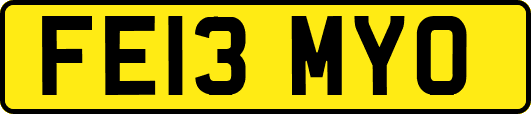 FE13MYO
