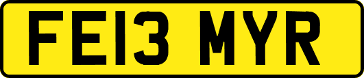 FE13MYR