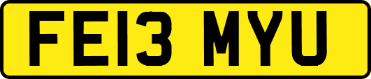 FE13MYU