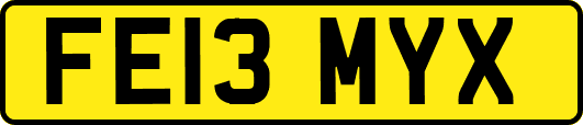 FE13MYX
