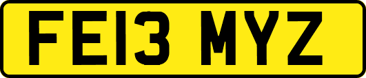 FE13MYZ