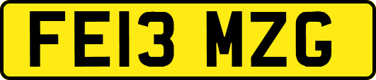FE13MZG