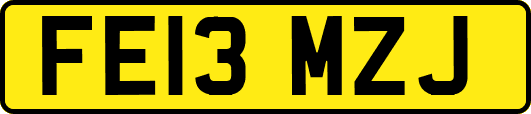 FE13MZJ