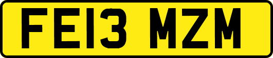FE13MZM