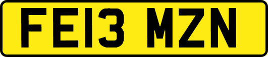 FE13MZN