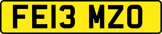FE13MZO