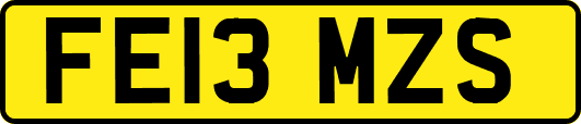 FE13MZS