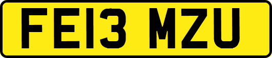 FE13MZU