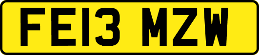 FE13MZW