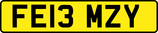 FE13MZY