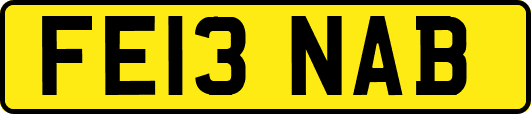 FE13NAB