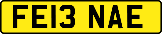 FE13NAE