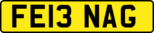 FE13NAG