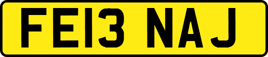 FE13NAJ