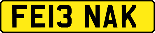 FE13NAK