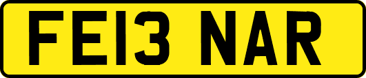 FE13NAR