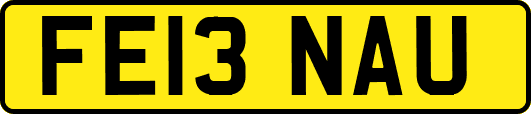 FE13NAU