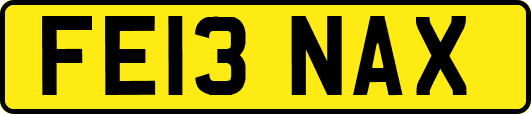 FE13NAX