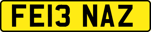 FE13NAZ