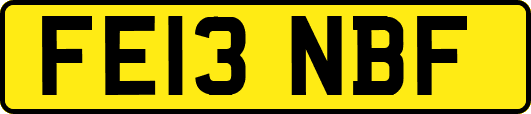FE13NBF