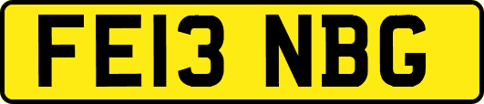 FE13NBG