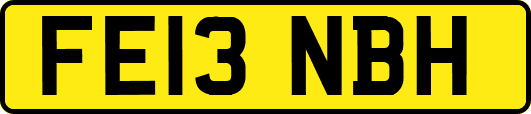 FE13NBH