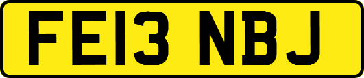 FE13NBJ