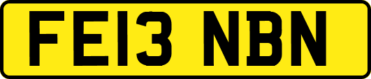 FE13NBN