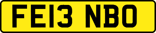 FE13NBO