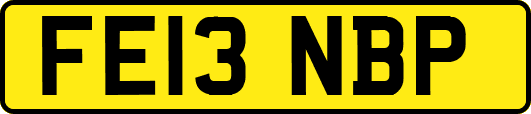 FE13NBP