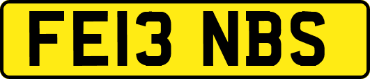 FE13NBS