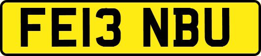 FE13NBU