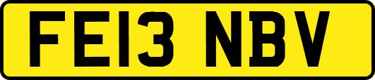 FE13NBV