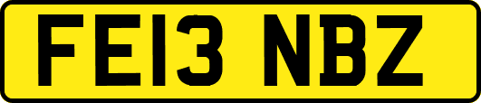 FE13NBZ