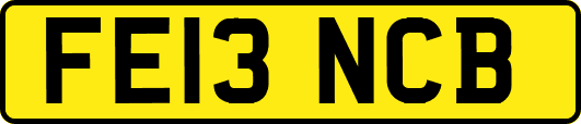FE13NCB