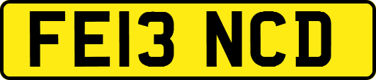 FE13NCD