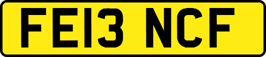 FE13NCF