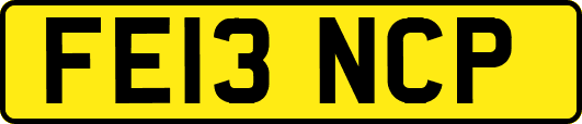 FE13NCP