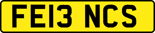 FE13NCS