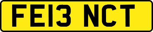 FE13NCT