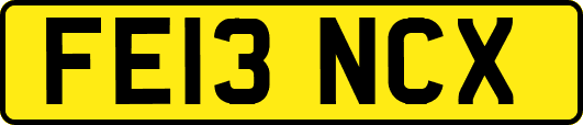 FE13NCX