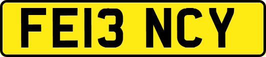 FE13NCY