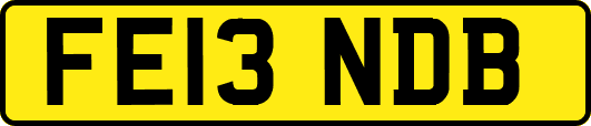 FE13NDB