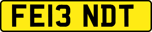 FE13NDT