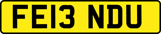 FE13NDU