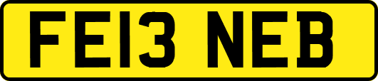 FE13NEB