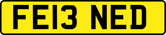 FE13NED