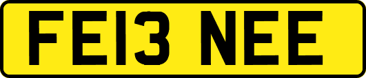 FE13NEE