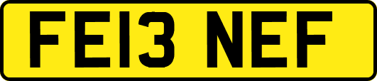 FE13NEF
